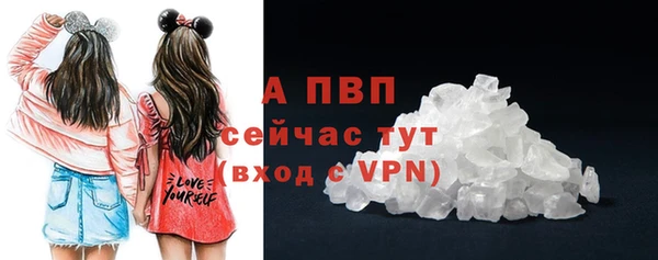 стафф Ладушкин