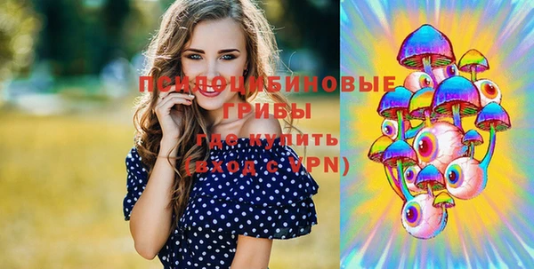 стафф Ладушкин