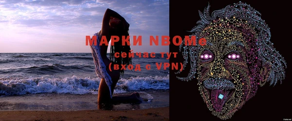 стафф Ладушкин