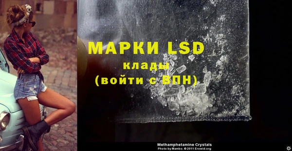 стафф Ладушкин