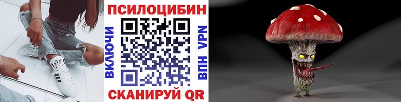 Купить  Шуя  Галлюциногенные грибы мицелий 